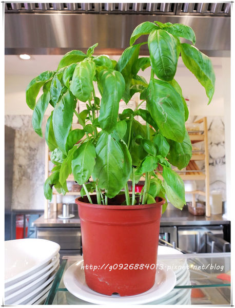 DSCF1005_副本 DSCF1005_副本