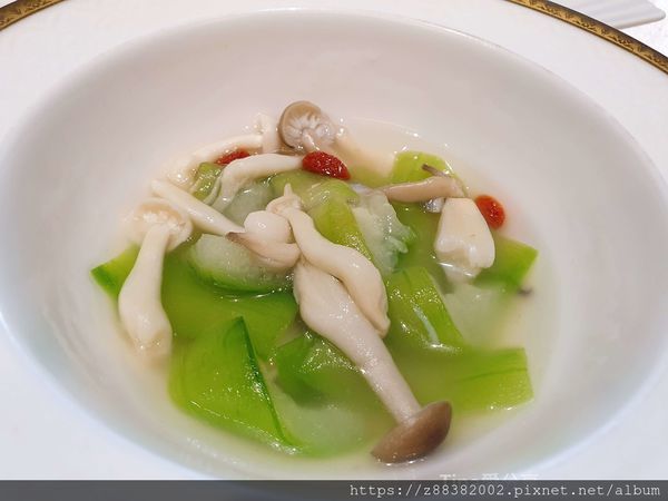 春天酒店溫泉_Tina愛分享