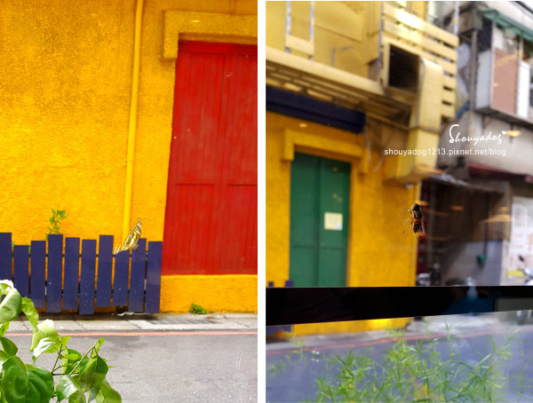 Mita Pasta 米塔義式廚房(中和店):【義式餐館】不用出國也可以有滿滿的歐洲風情 Mita Pasta 米塔義式廚房