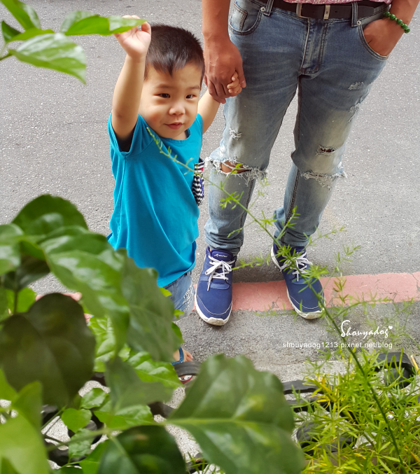 Mita Pasta 米塔義式廚房(中和店):【義式餐館】不用出國也可以有滿滿的歐洲風情 Mita Pasta 米塔義式廚房