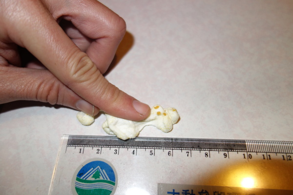 cm20140209___fd66f9342670d2b58d9e82decad