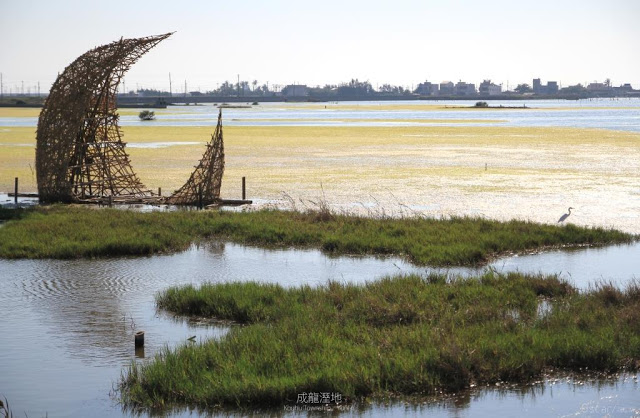 成龍溼地-22