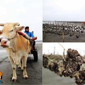 【遊║彰化】警察故事館～成為「波麗士大人」的主角，可以當一天的警察喔﹗