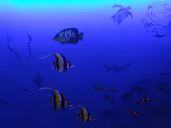 藍色地圖咖啡館：1021001[官本金文愛台灣]第三雷空有地中海風格的藍色地圖咖啡館Bule Map餐點須再加強