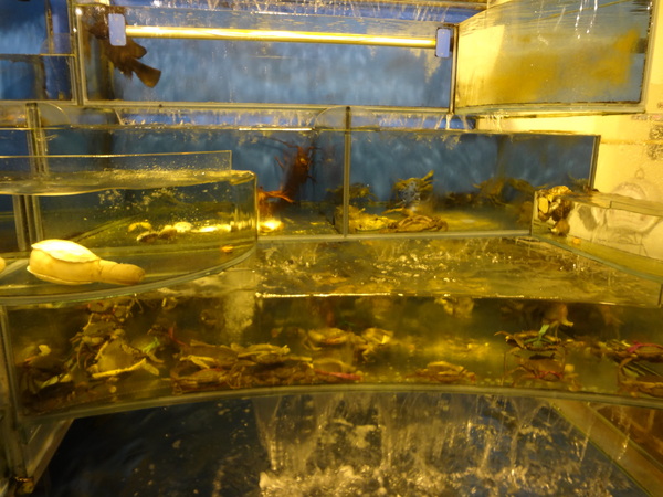 cm20131030___9ec2397f403e63145fc76e5eab2