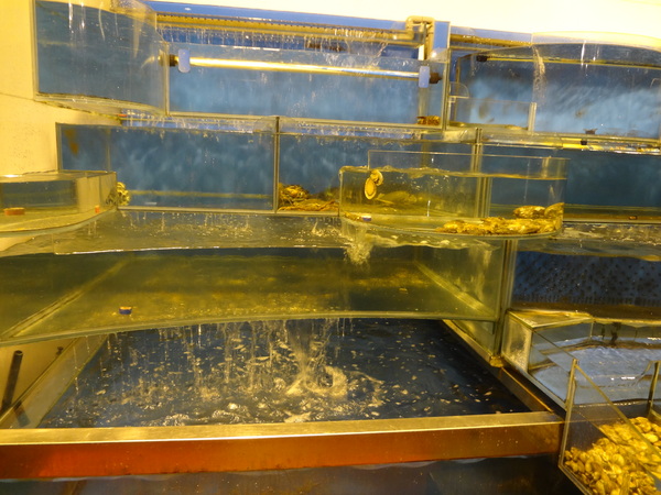 cm20131030___441881a84ec39a7692b89f5a931