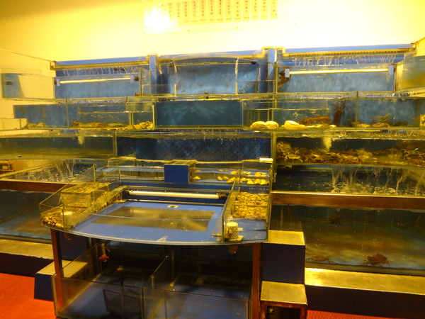 cm20131030___008f8a9c6a4bbb614d9c04721e8