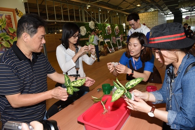 DSC_6497.JPG - 2019礁溪整合行銷