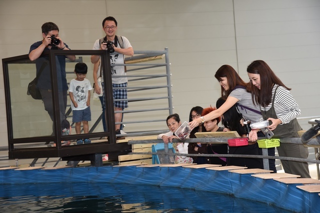 DSC_6575.JPG - 2019礁溪整合行銷