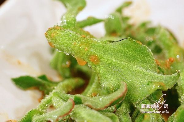 台灣古早味甕窯雞(礁溪總店)：礁溪爆漿【甕窯雞】和【火山爆發雞】評筆