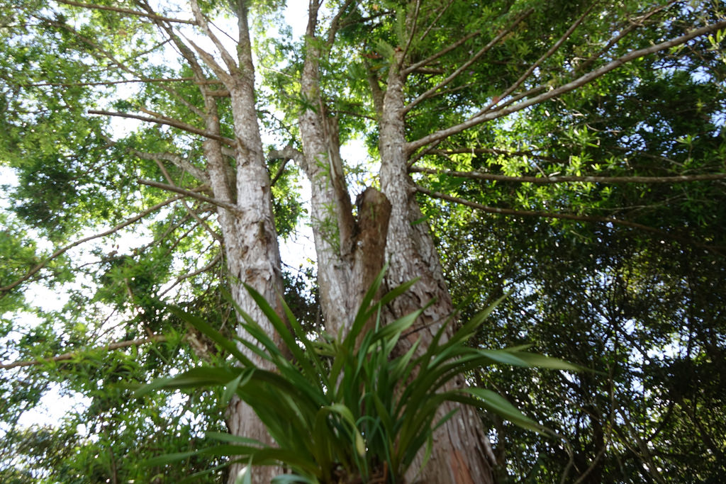 20171021_日月潭花火節 (372)