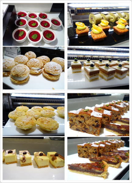 照片 4201 照片 4201