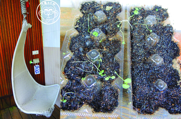 虎屋咖啡：呷飽祙【台北松山･hooooo café 虎屋】同時滿足大人與小孩的遊樂場咖啡廳