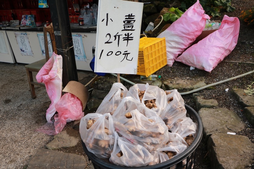 南投賞花之旅。風櫃斗百年梅后、南平山道田有機農場、私房餐廳民宿、小半天石馬公園 x 錫葉藤、賞梅、賞櫻 一次全收錄