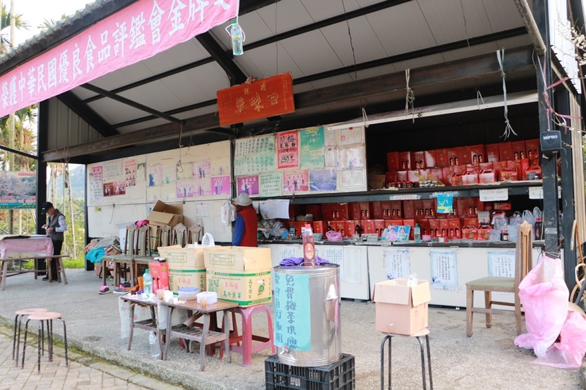 南投賞花之旅。風櫃斗百年梅后、南平山道田有機農場、私房餐廳民宿、小半天石馬公園 x 錫葉藤、賞梅、賞櫻 一次全收錄