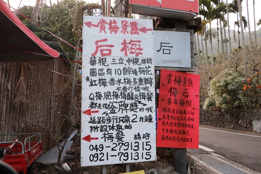 南投賞花之旅。風櫃斗百年梅后、南平山道田有機農場、私房餐廳民宿、小半天石馬公園 x 錫葉藤、賞梅、賞櫻 一次全收錄