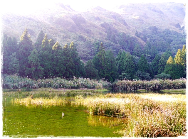 陽明山夢幻湖 陽明山夢幻湖