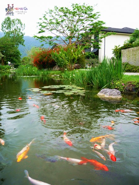 花蓮旅遊,花蓮住宿,自由行,綠柳莊,花蓮民宿,哪哪麻