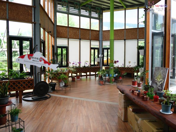 花蓮旅遊,花蓮住宿,自由行,綠柳莊,花蓮民宿,哪哪麻