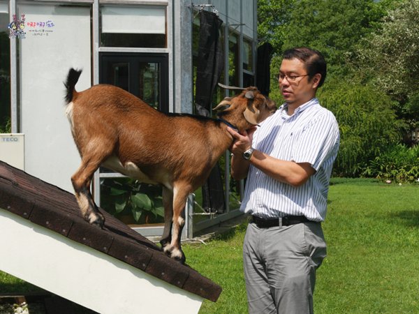花蓮旅遊,花蓮住宿,自由行,綠柳莊,花蓮民宿,哪哪麻