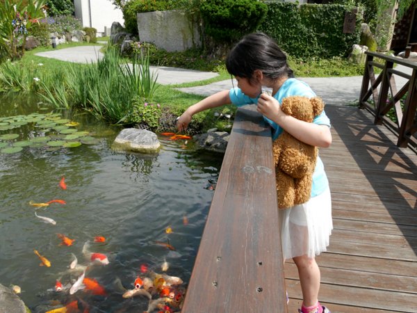 花蓮旅遊,花蓮住宿,自由行,綠柳莊,花蓮民宿,哪哪麻