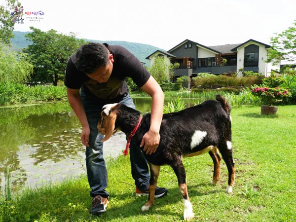 花蓮旅遊,花蓮住宿,自由行,綠柳莊,花蓮民宿,哪哪麻