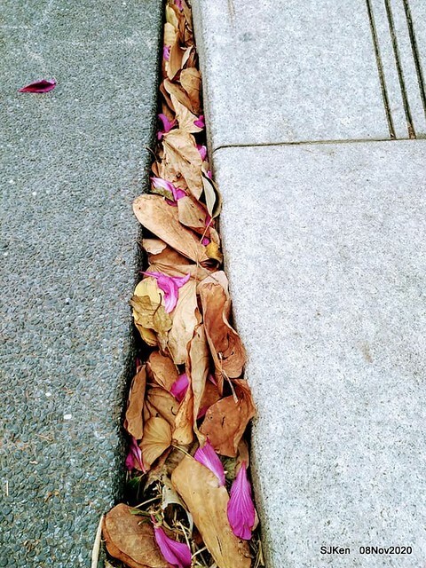 Taichung city plaza park , Taichung, Middle Taiwan, SJKen, Nov 8, 2020.