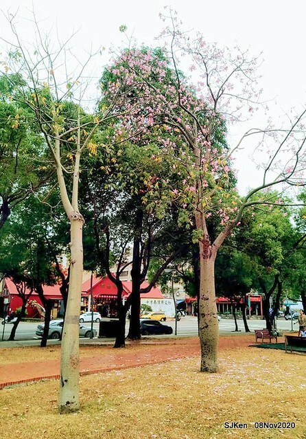 Taichung city plaza park , Taichung, Middle Taiwan, SJKen, Nov 8, 2020.