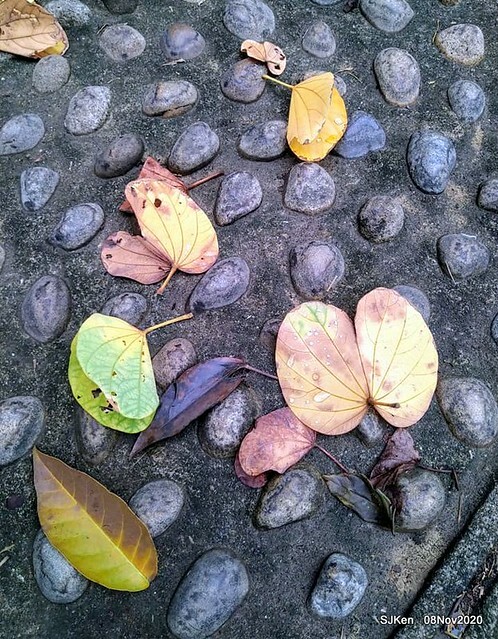 Taichung city plaza park , Taichung, Middle Taiwan, SJKen, Nov 8, 2020.