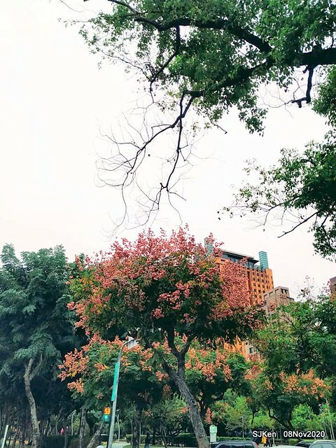 Taichung city plaza park , Taichung, Middle Taiwan, SJKen, Nov 8, 2020.