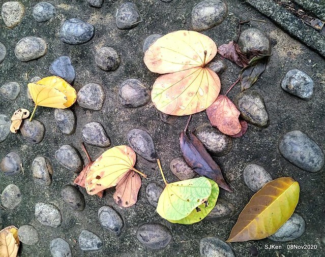 Taichung city plaza park , Taichung, Middle Taiwan, SJKen, Nov 8, 2020.