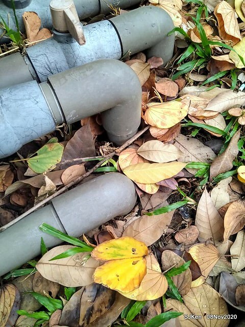 Taichung city plaza park , Taichung, Middle Taiwan, SJKen, Nov 8, 2020.