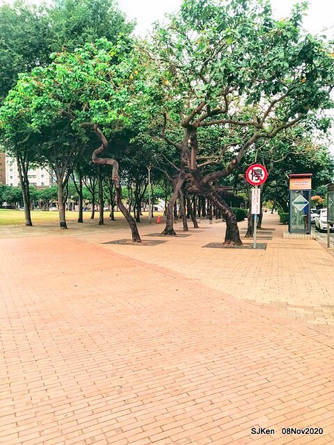 Taichung city plaza park , Taichung, Middle Taiwan, SJKen, Nov 8, 2020.