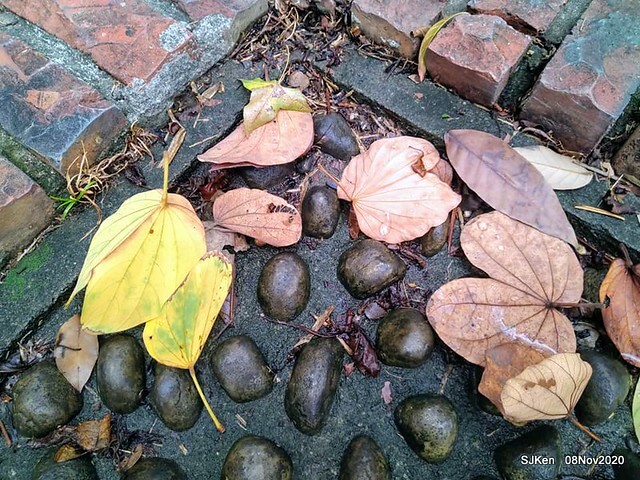 Taichung city plaza park , Taichung, Middle Taiwan, SJKen, Nov 8, 2020.