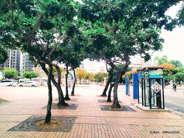 Taichung city plaza park , Taichung, Middle Taiwan, SJKen, Nov 8, 2020.