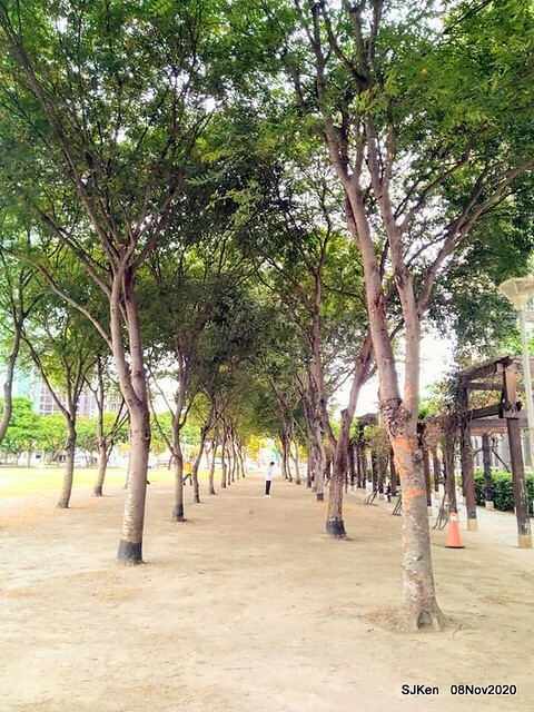 Taichung city plaza park , Taichung, Middle Taiwan, SJKen, Nov 8, 2020.