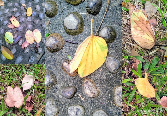 Taichung city plaza park , Taichung, Middle Taiwan, SJKen, Nov 8, 2020.