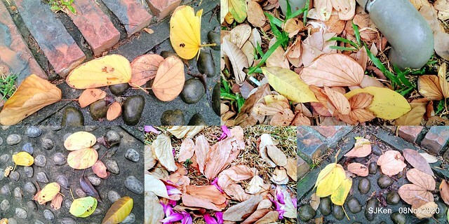 Taichung city plaza park , Taichung, Middle Taiwan, SJKen, Nov 8, 2020.