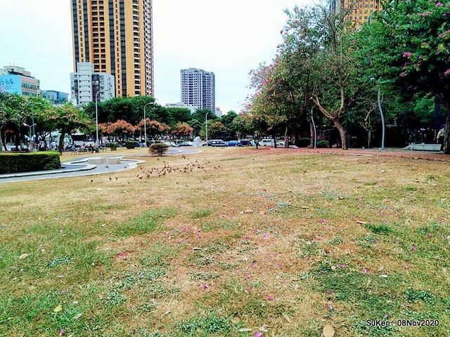 Taichung city plaza park , Taichung, Middle Taiwan, SJKen, Nov 8, 2020.