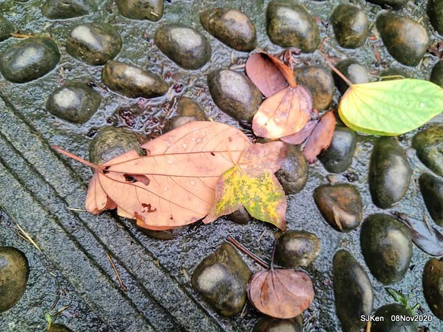 Taichung city plaza park , Taichung, Middle Taiwan, SJKen, Nov 8, 2020.