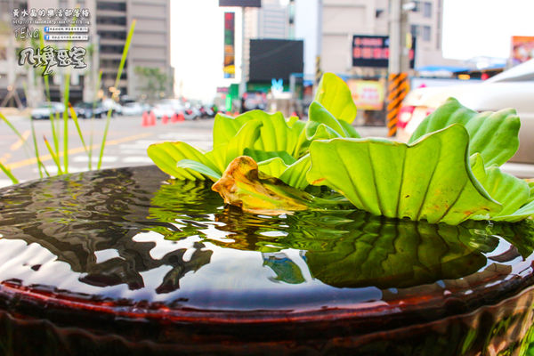 八塊畫室 咖啡簡餐│桃園市/八德區(桃園八德人的藝文聖地,偶像劇劇組特愛畫室場景)