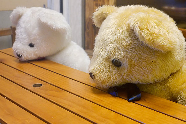 玩偶.jpg 玩偶.jpg