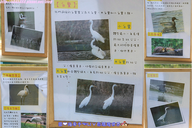 【宿▍宜蘭】天空島上的小木屋ღ宜蘭出現像國外的彩色屋~拍不停，相機拍到沒電手機拿出來也要拍