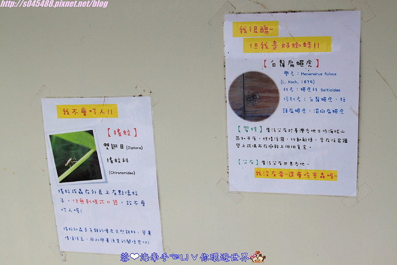 【宿▍宜蘭】天空島上的小木屋ღ宜蘭出現像國外的彩色屋~拍不停，相機拍到沒電手機拿出來也要拍