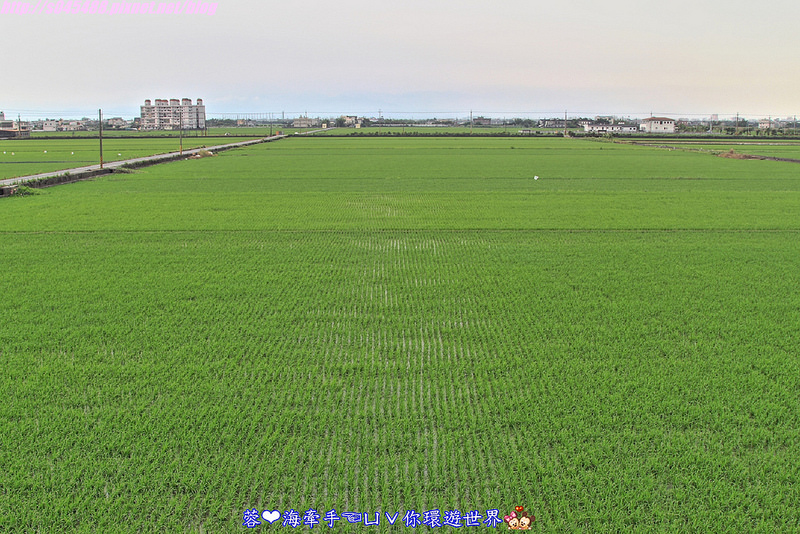 【宿▍宜蘭】天空島上的小木屋ღ宜蘭出現像國外的彩色屋~拍不停，相機拍到沒電手機拿出來也要拍