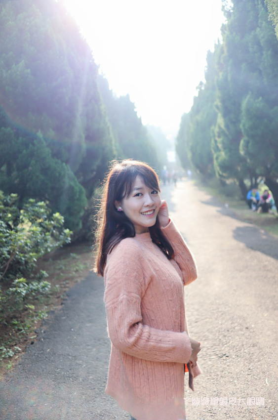 2020新竹清大梅園梅花開了!持續更新梅花花況,清大附近美食懶人包資訊整理