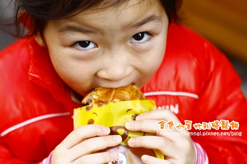 【食。體驗】GO台南。品嚐幸福的甜食,Gold House 金色小屋比利時創意鬆餅