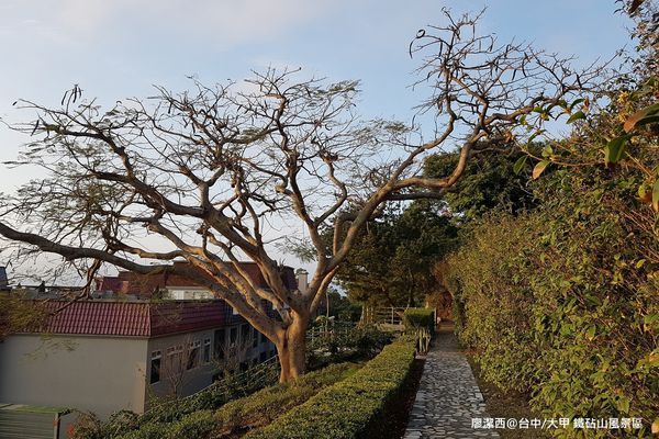 【台中/大甲】鐵砧山風景區