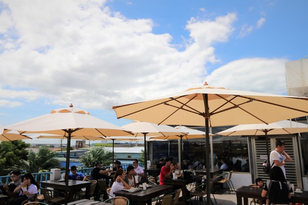 桃園第三航廈咖啡:】第三航廈咖啡廳~超人氣賞空中大鳥機機店家