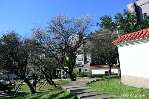 0104 志成梅香04.jpg